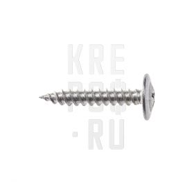 Саморез с полусферической головкой острый А2 4,2*25